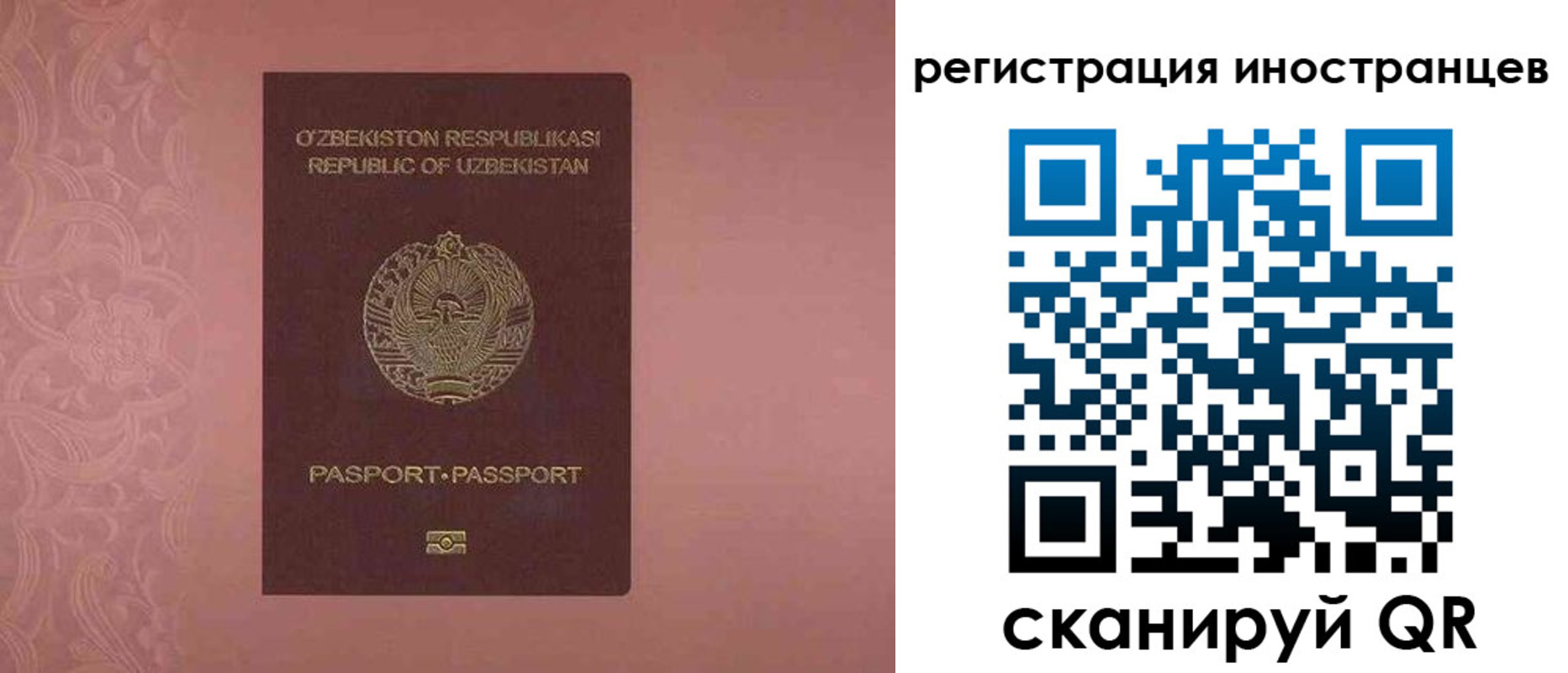 временная регистрация госуслуги в ЕАО